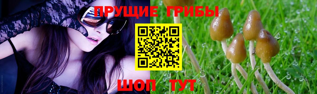 даркнет сайт  Вход с VPN  Псилоцибиновые грибы Psilocybine cubensis  Луховицы  Галлюциногенные грибы мицелий 